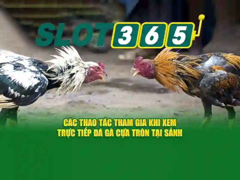 Slot365: Đánh giá nền tảng máy xèng trực tuyến hàng đầu