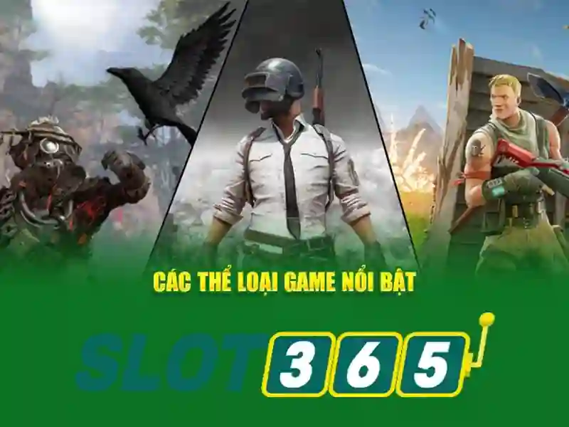 Trải nghiệm người dùng và phản hồi cộng đồng