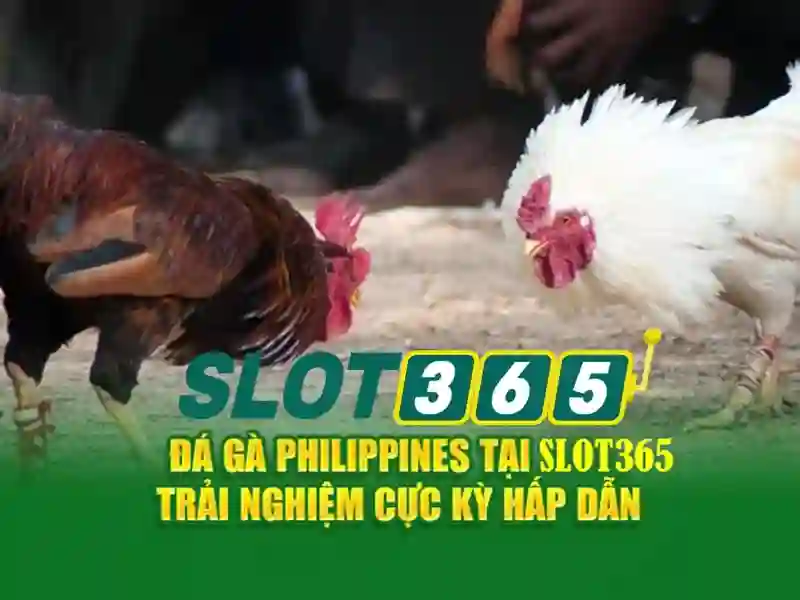Slot365: Đánh giá nền tảng slot trực tuyến uy tín