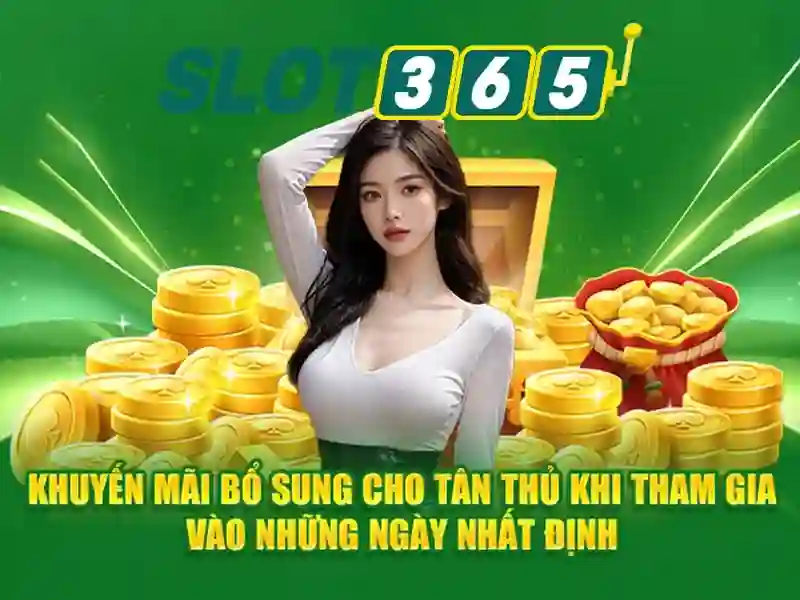 Chính sách bảo mật và thanh toán an toàn