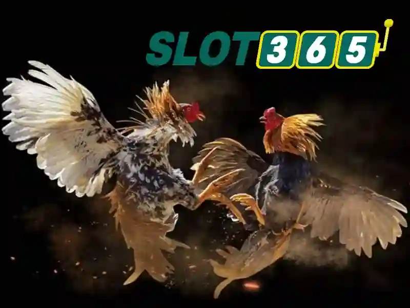 slot365-giao-dien-nguoi-dung