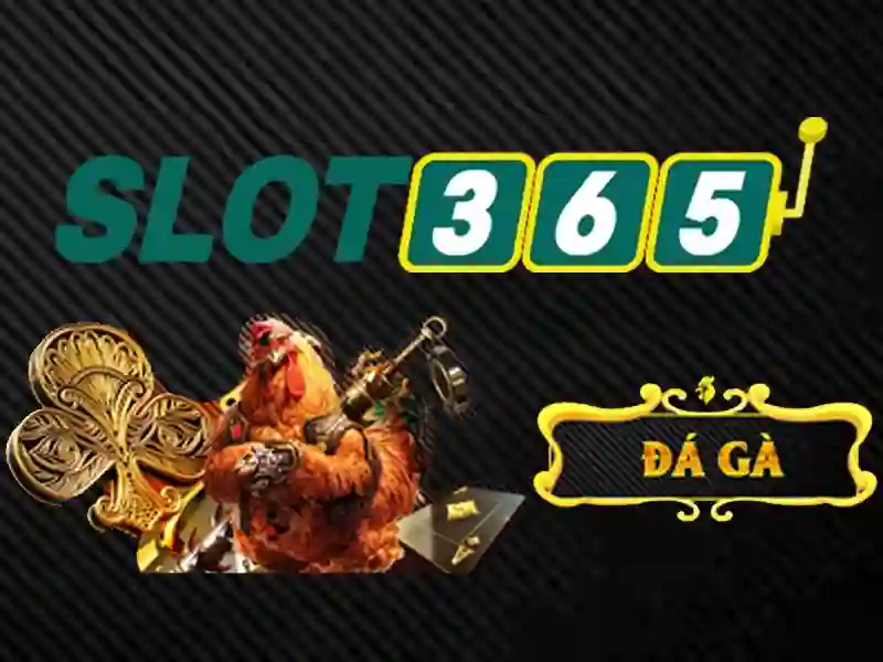 Slot365 chính thức – Tổng quan và giá trị cốt lõi