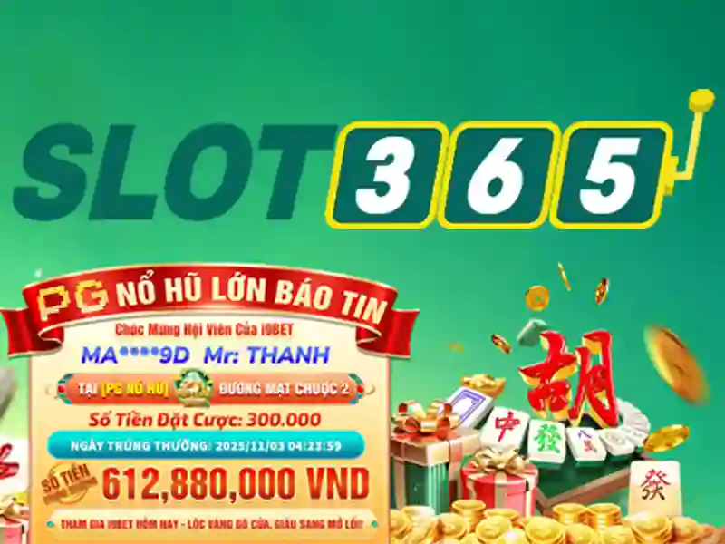 Tóm tắt và lời mời trải nghiệm