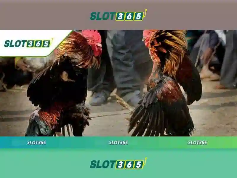 Slot365: Trai nghiem casino slot truc tuyen dinh cao