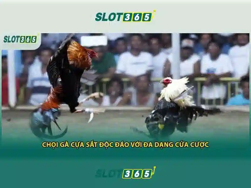 Slot365: Trải nghiệm slot trực tuyến đỉnh cao tại nền tảng phổ biến