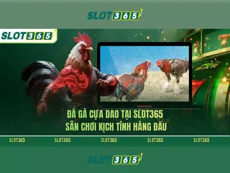 Slot365: Tổng quan và trải nghiệm slot trực tuyến
