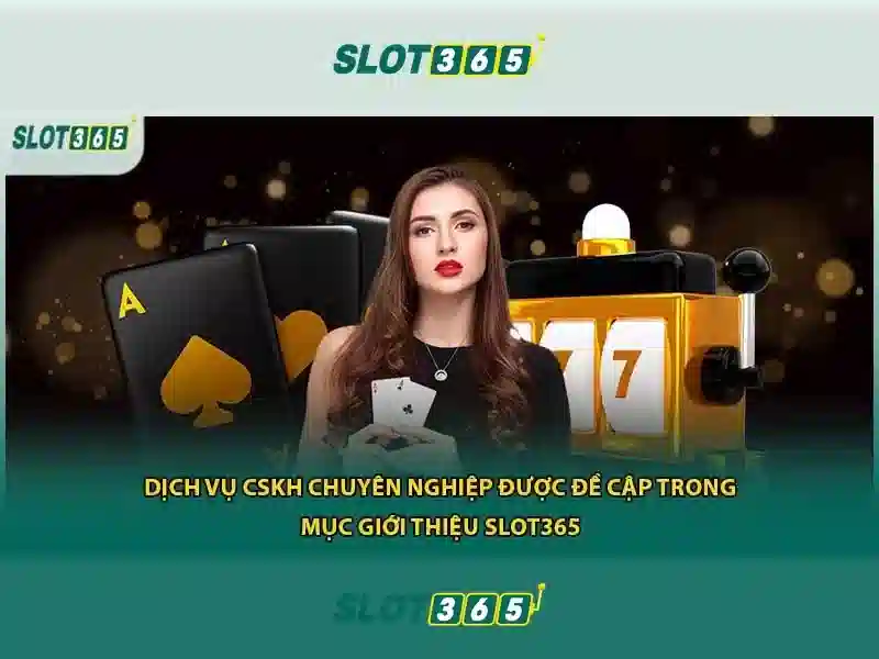 Slot365 - Tổng quan về nền tảng slot trực tuyến