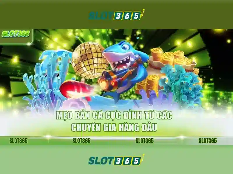 Trải nghiệm người dùng Raja slot365