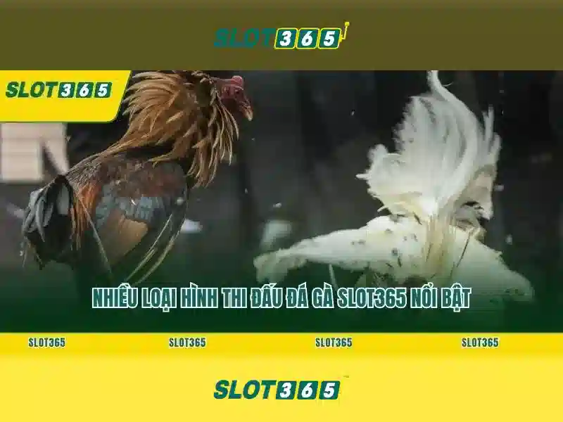 Slot365: Nền tảng casino trực tuyến đáng tin cậy