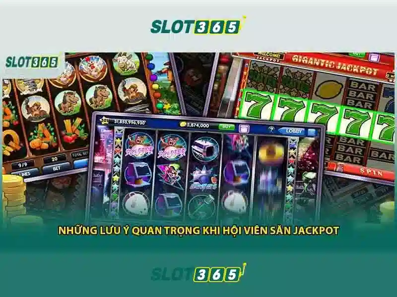 Trải nghiệm người dùng và phản hồi cộng đồng