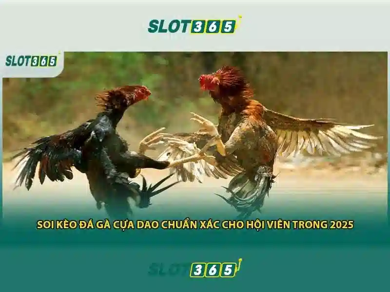 Kết luận