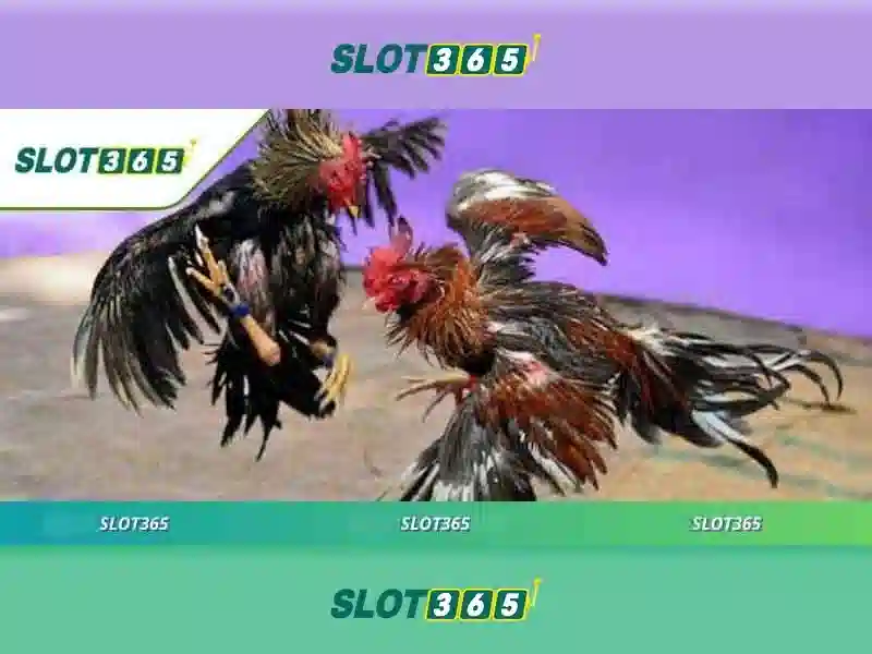 Slot365: Tổng quan và trải nghiệm chơi