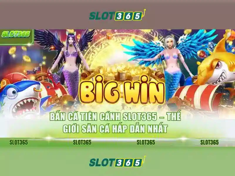Slot365: Đánh giá nền tảng cược trực tuyến