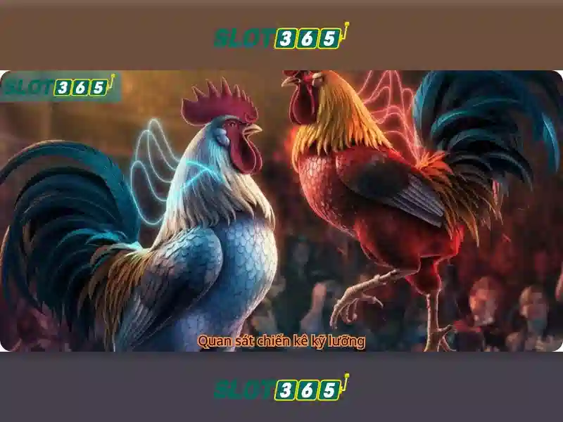 Slot365 – Nền tảng xổ số trực tuyến uy tín