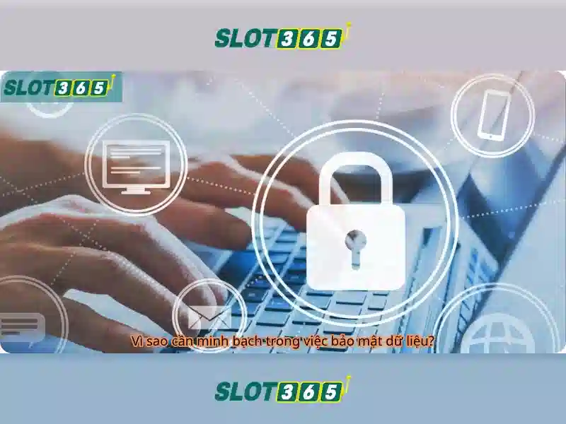 Slot365: Khám phá nền tảng slot online an toàn và giải trí