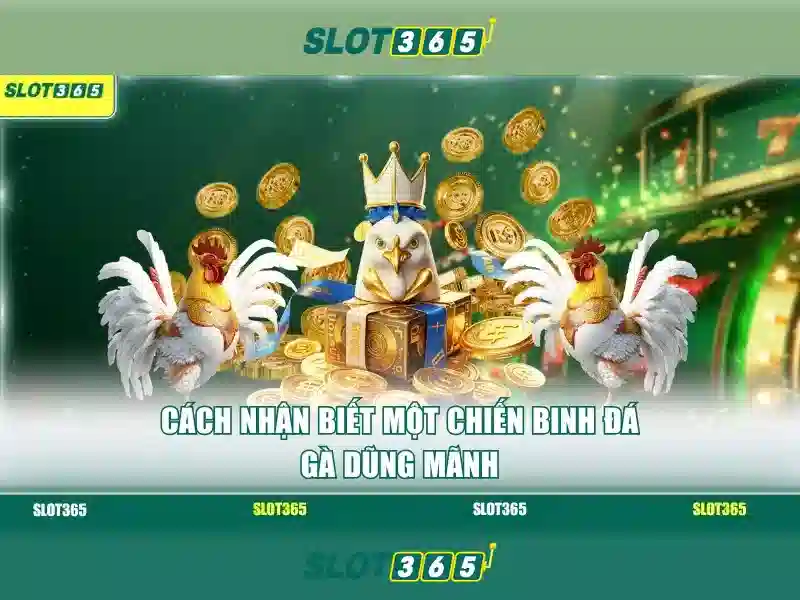 Slot365: Trải nghiệm slot trực tuyến uy tín và thú vị