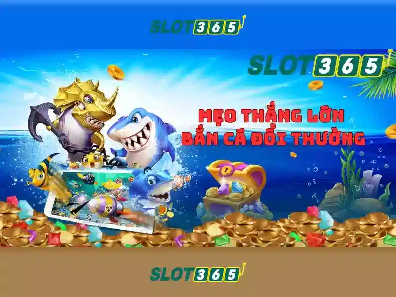 Các sản phẩm và dịch vụ cốt lõi: ứng dụng thực tiễn