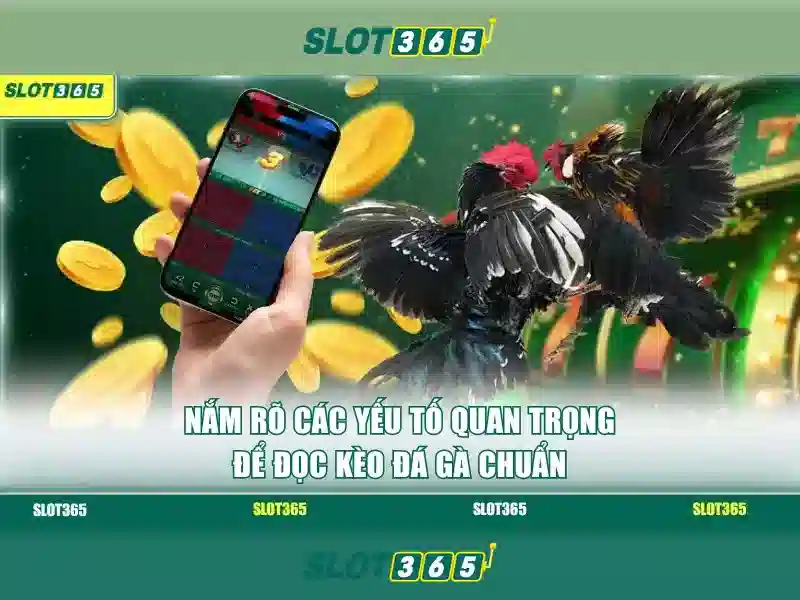 Slot365: Nền tảng slot trực tuyến an toàn và giải trí