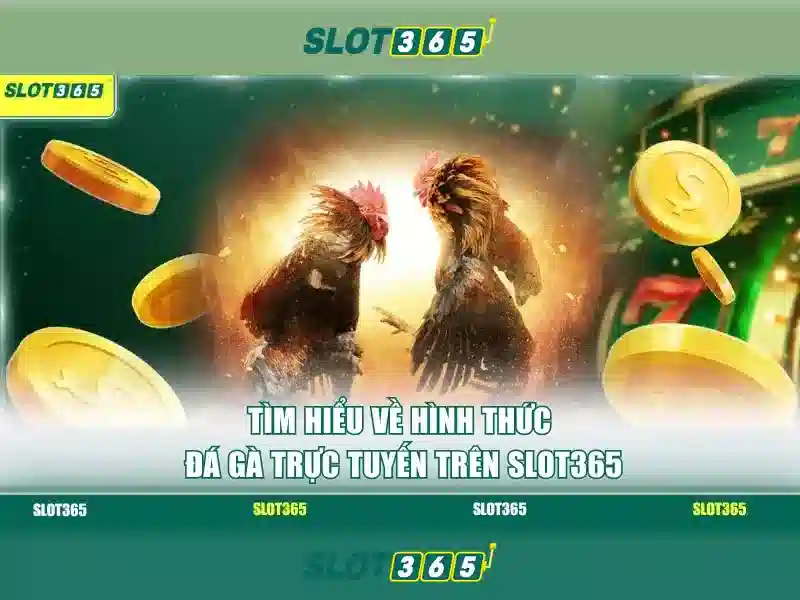 Slot365: Trải nghiệm slot trực tuyến đỉnh cao