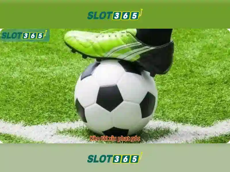 Slot365 - Trang web casino trực tuyến hàng đầu