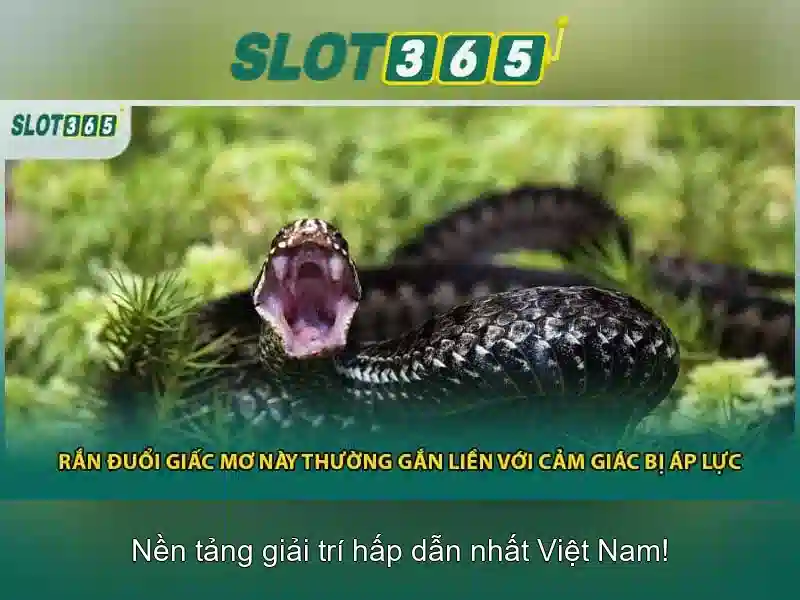 Tải app slot365 – Tổng quan chủ đề và giá trị cốt lõi