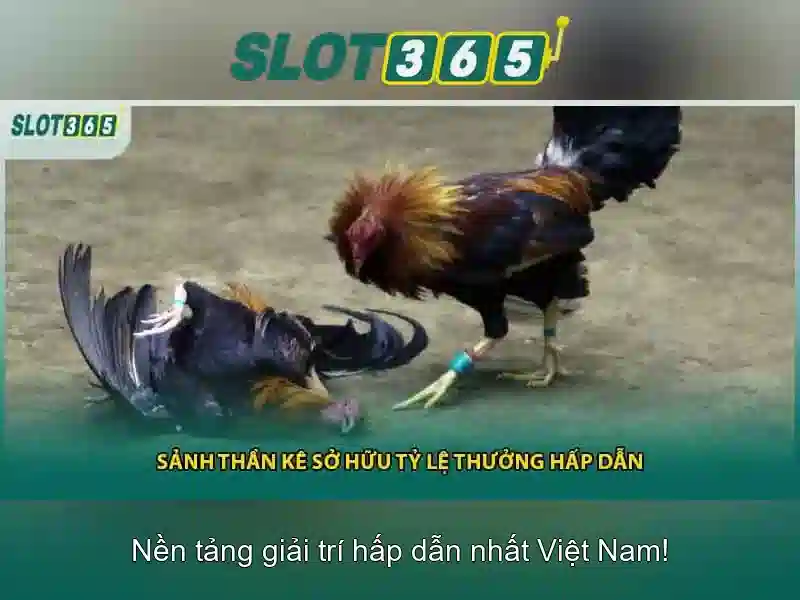 app slot365 – Tổng quan và Giá trị cốt lõi