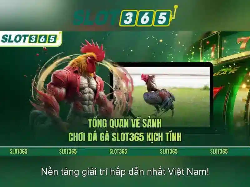 slot365 – Tổng quan chủ đề và giá trị cốt lõi