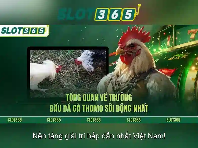 Các tính năng nổi bật của Slot365