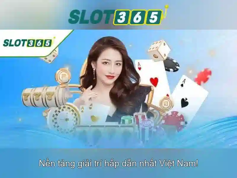 Trải nghiệm người dùng và phản hồi cộng đồng