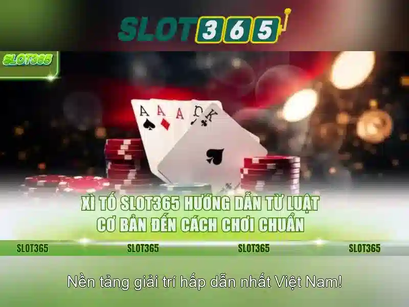 Trải nghiệm người dùng và giao diện