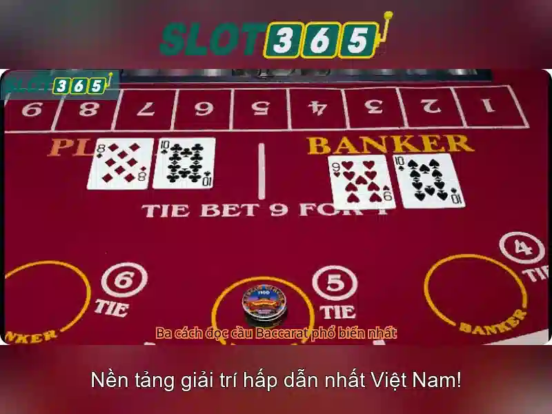 Slot365: Nền tảng cá cược trực tuyến uy tín và giải trí