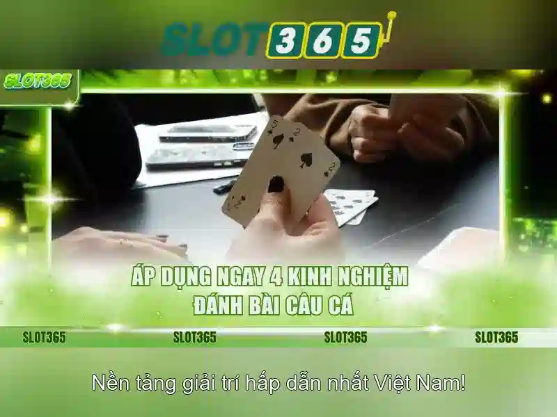 Tai-app-on-mobile