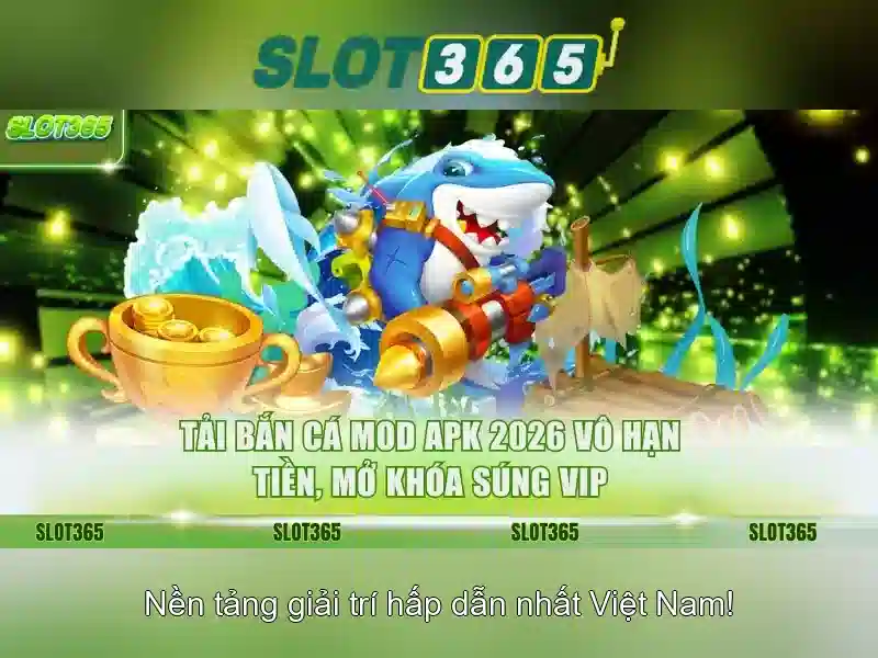 Giao diện và trải nghiệm người dùng