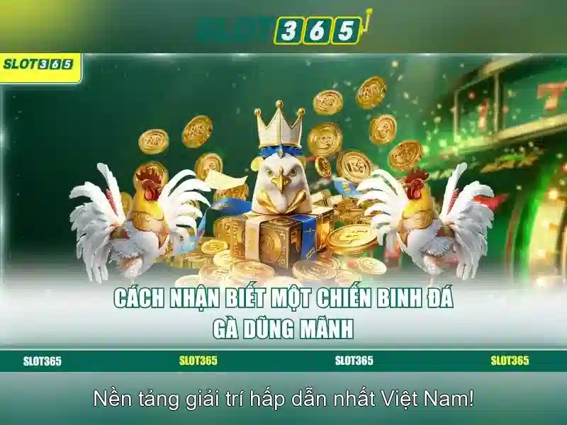 Trải nghiệm người dùng và trò chơi