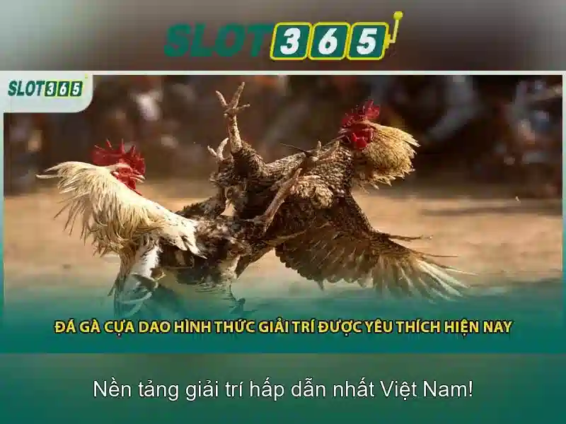 Cài đặt và truy cập dễ dàng