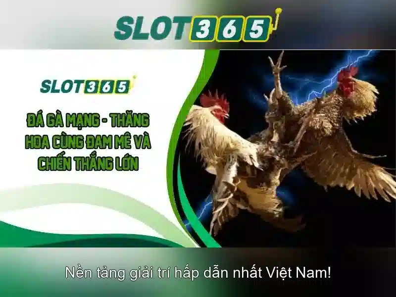 Slot365: Tổng quan về nền tảng máy xèng trực tuyến