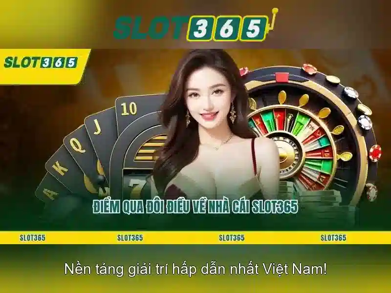 Hỗ trợ khách hàng 24/7 và giao diện tối giản