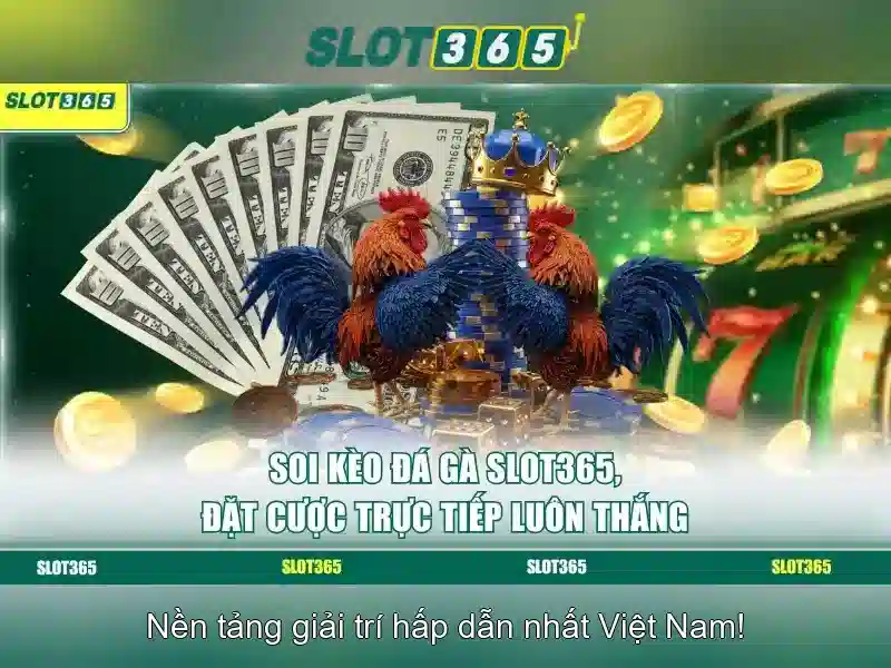 Slot365 - Nền tảng trò chơi máy xèng trực tuyến