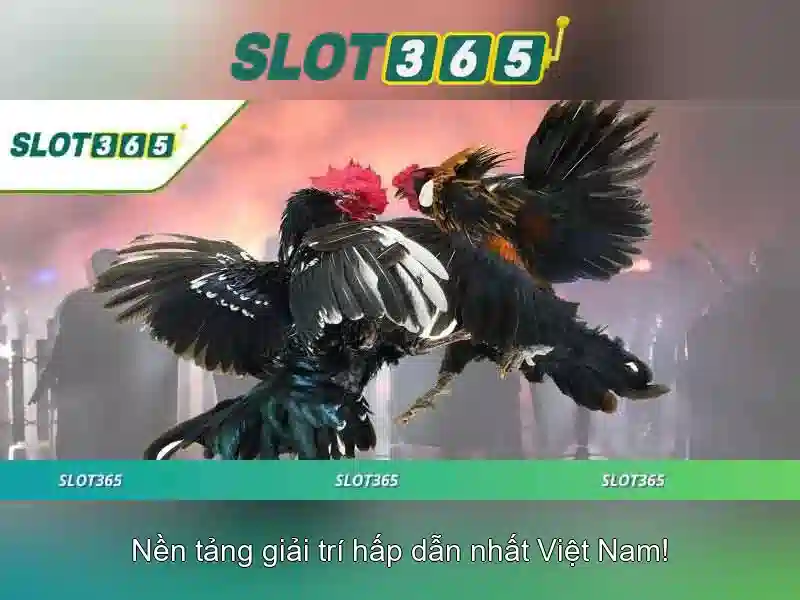 Slot365: Khám phá nền tảng chơi Slots trực tuyến hàng đầu