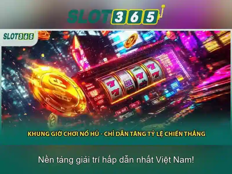 bonuses and promotions