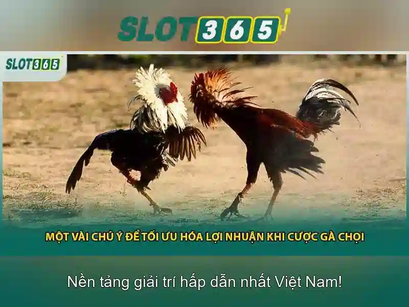 Slot365: Nền tảng chơi slot trực tuyến an toàn và hấp dẫn
