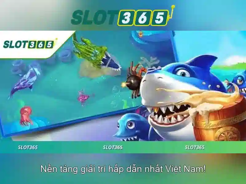 Khuyến mãi và chương trình thưởng
