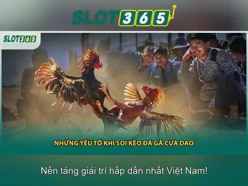 Slot365: Đánh giá và trải nghiệm người chơi
