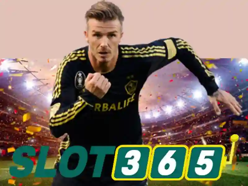 Sản phẩm và dịch vụ cốt lõi: ứng dụng thực tế của Slot365 có hợp pháp không
