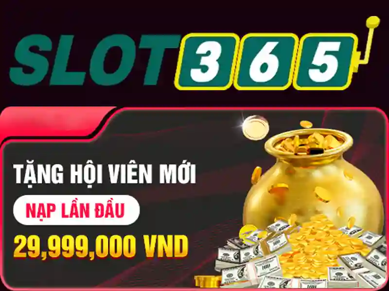Trải nghiệm người dùng và phản hồi cộng đồng